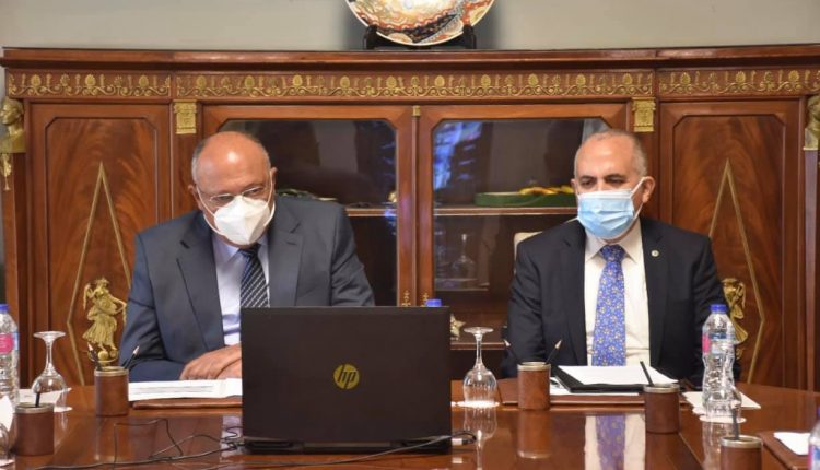 سامح شكري وزير الخارجية المصري