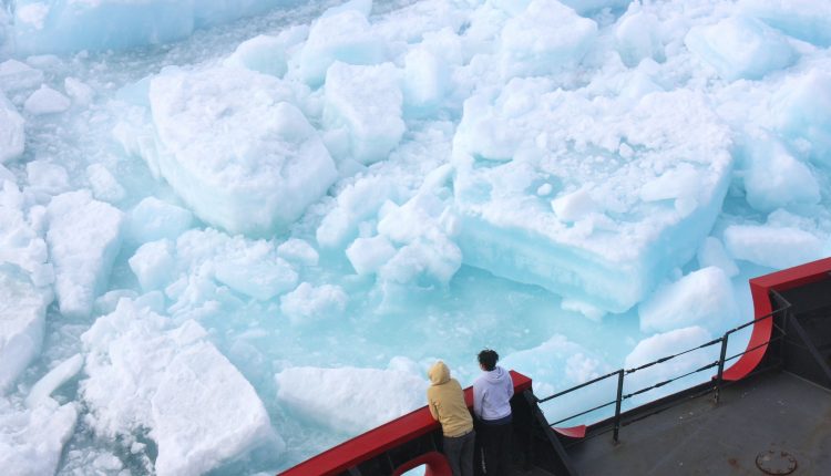القطب الشمالي