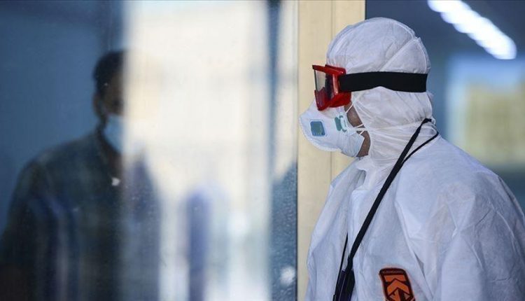 سلالة جديدة لكورونا