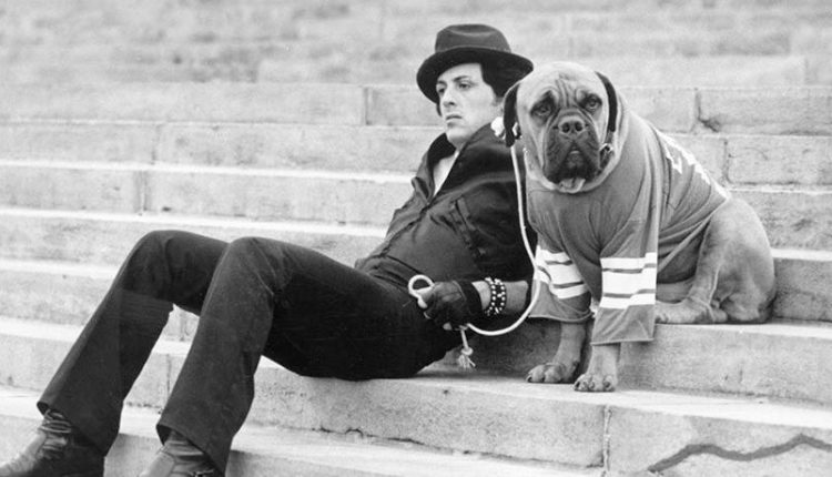 سيلفستر ستالون روكي