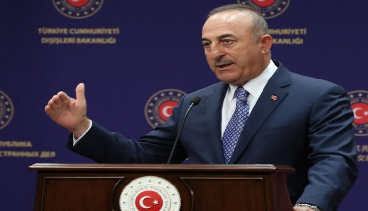 مولود تشاوش أوغلو- مصر