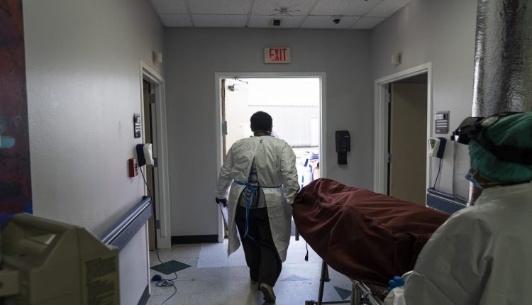 كورونا أمريكا