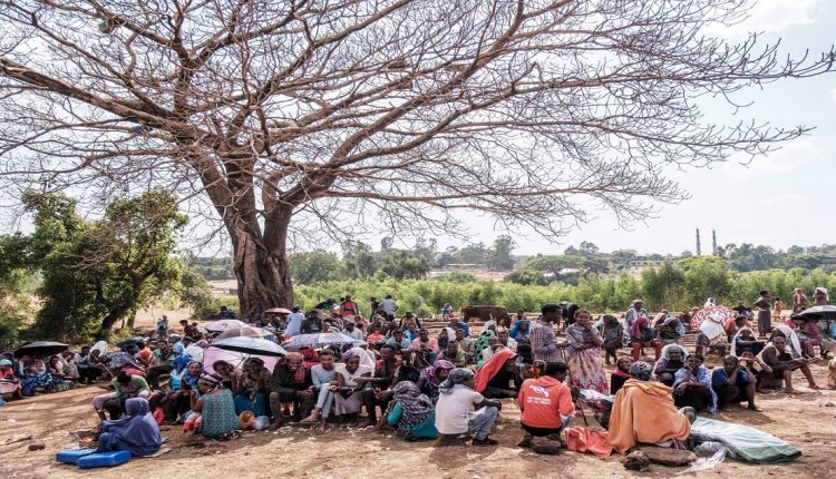 إقليم تجراي