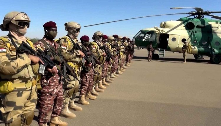 نسور النيل 2