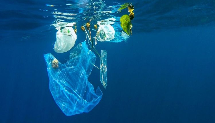 مشروع النفايات البحرية