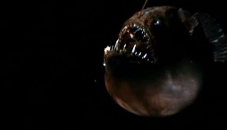 كاليفورنيا