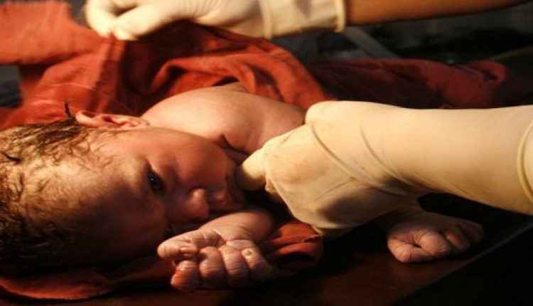 المواليد في أمريكا