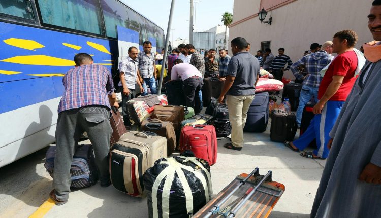 العمالة المصرية