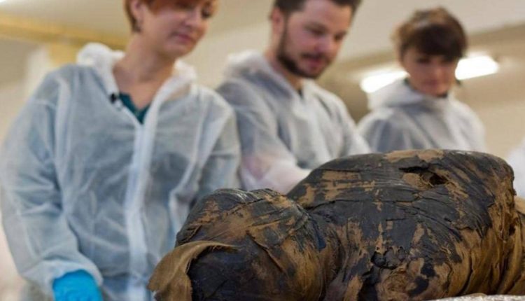 المومياء الحامل