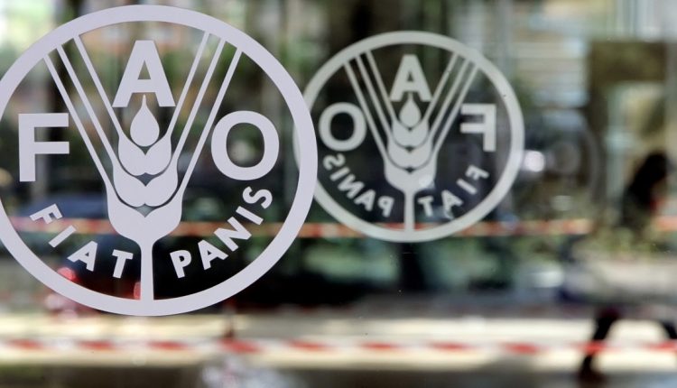 أسعار الغذاء العالمي