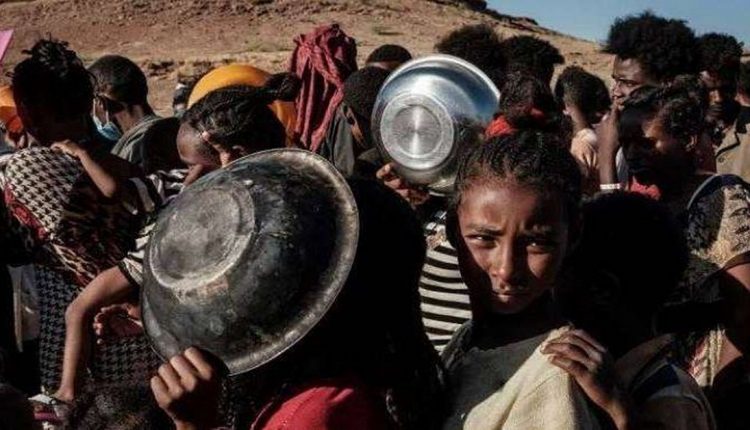 تيجراي- العفو الدولية