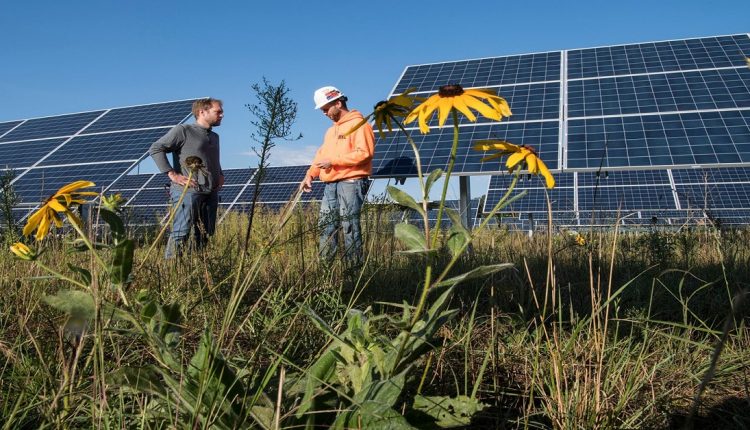 الطاقة الشمسية - دبي