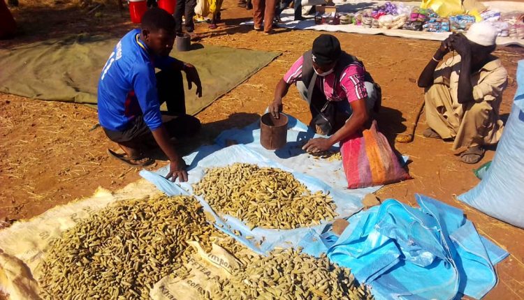 جنوب كردفان