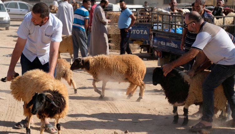 عيد الأضحى تونس