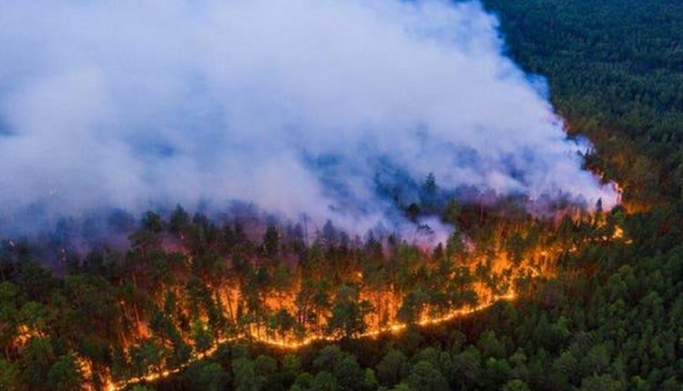 حرائق الغابات روسيا