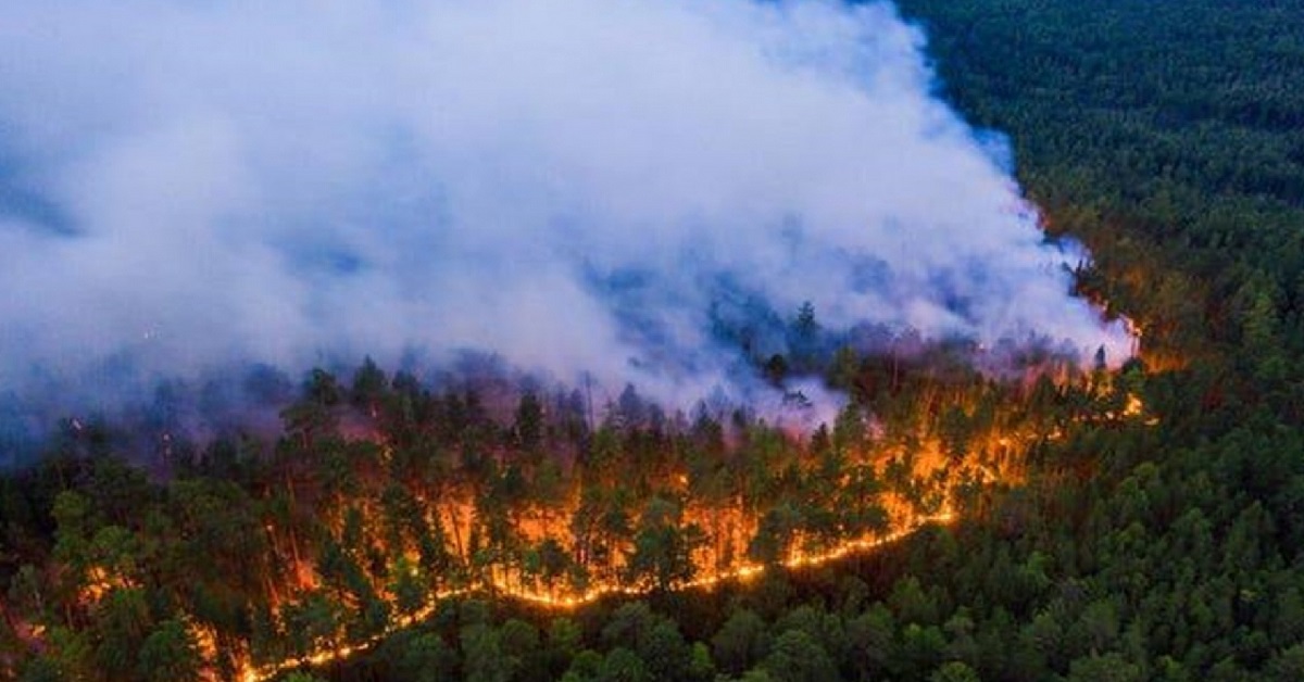 حرائق الغابات روسيا
