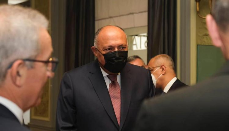 وزير الخارجية، سامح شكري