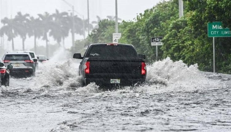 عاصفة إلسا- ولاية جورجيا