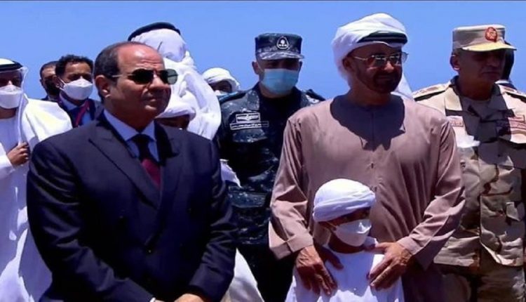 حفيد محمد بن زايد