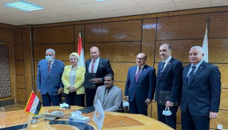 وقود حيوي من نبات «الجوجوبا»