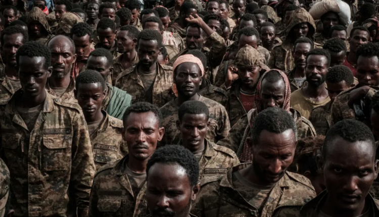 جيش من الأسرى في تيغراي