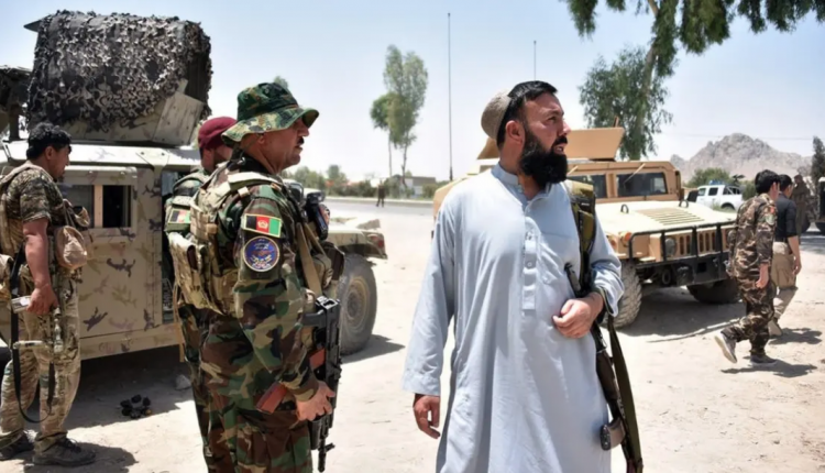 حركة طالبان