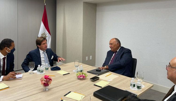 سامح شكري ورئيس مجلس الأمن