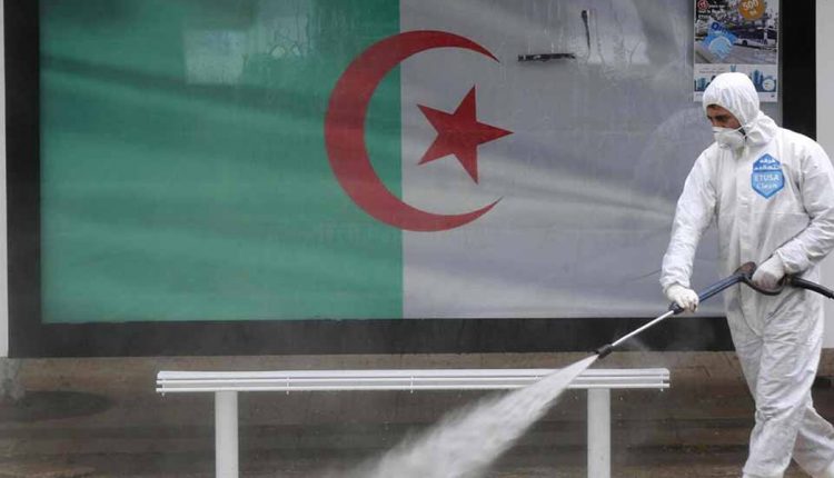 كورونا في الجزائر