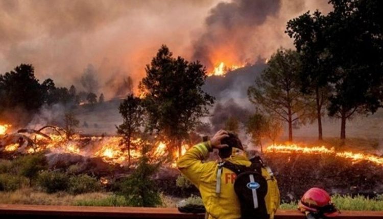 حرائق الغابات